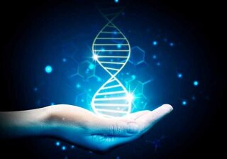 Ученые создали карманное устройство для считывания ДНК