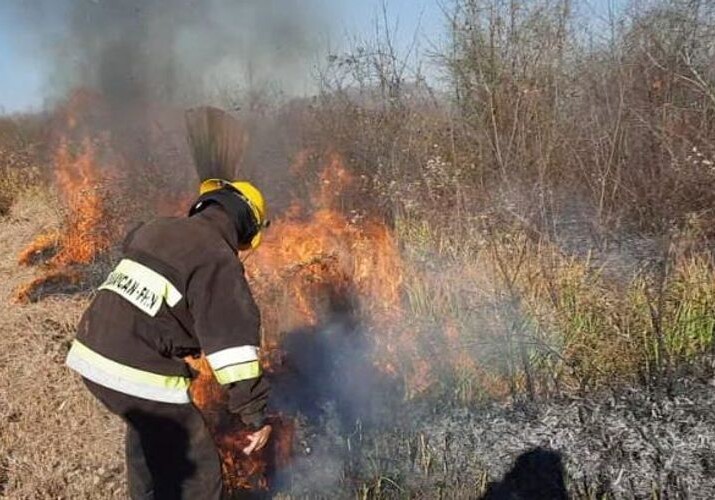 МЧС АР: Пожар в Гирканском национальном парке потушен в одном направлении (Видео)