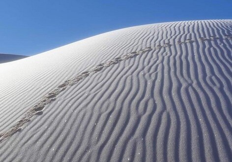 Белые пески: в Сахаре выпал снег (Фото)