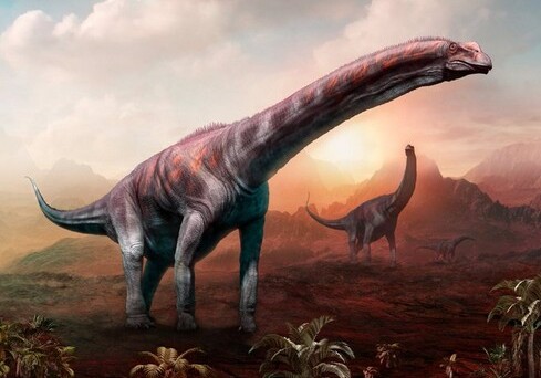 Ученые нашли останки самого огромного динозавра на планете