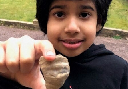 В Британии ребенок обнаружил во дворе дома окаменелость палеозойской эры (Фото)