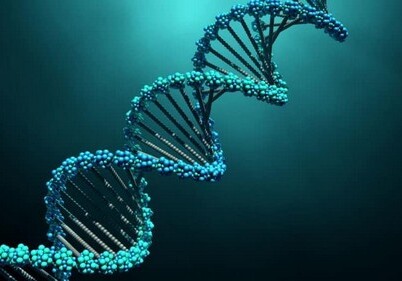 Ученые нашли самую древнюю ДНК в мире