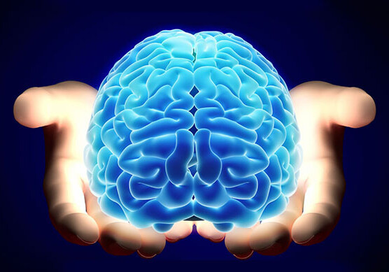 Ученые датировали формирование современного человеческого мозга