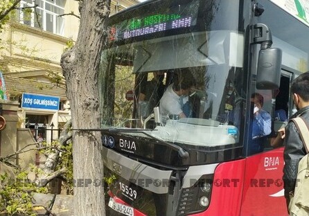 В Баку автобус врезался в дерево, есть раненые (Фото)