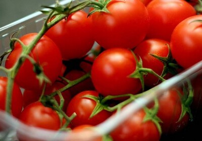 С 14 мая разрешен ввоз в Россию томатов с 30 азербайджанских предприятий